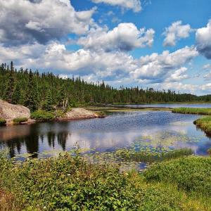 Algonquin Provincial Park